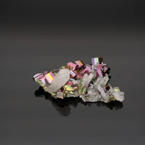 Electric crest rainbow - electric,